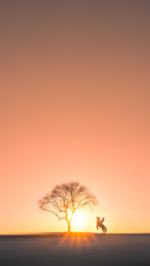 魔术队投资的电竞俱乐部崭露头角，魔术队排名