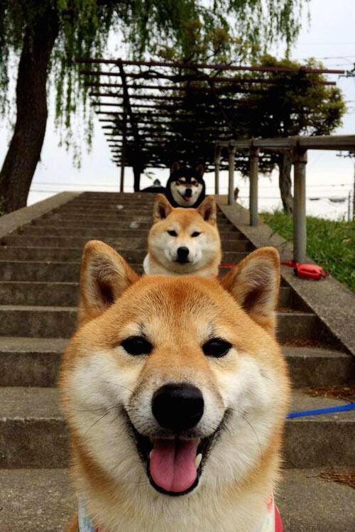 简：利用高效的边路突破，为全黑队注入不竭活力