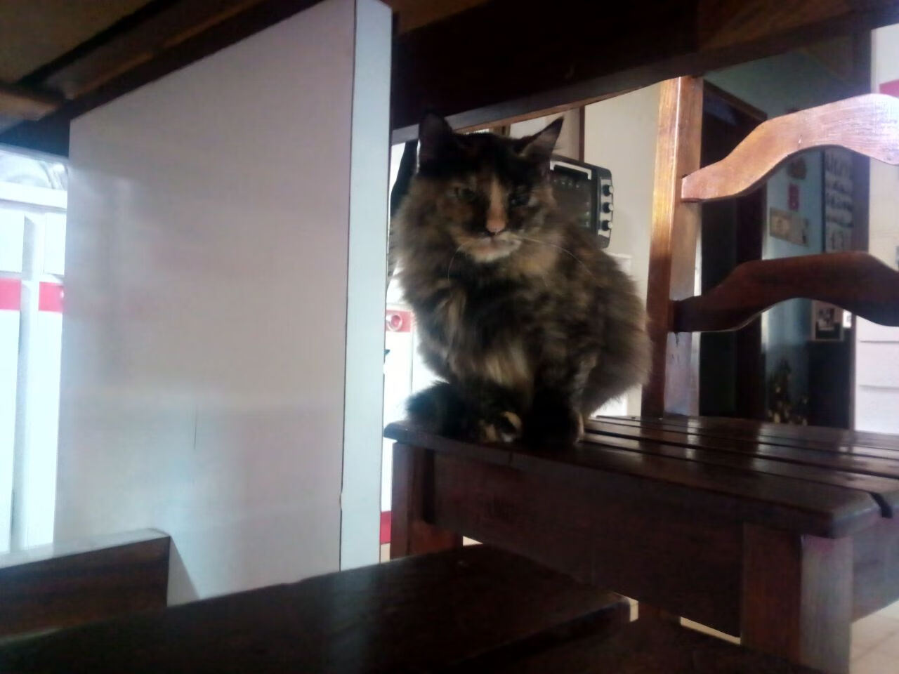 詹姆斯赛场边鼓励失误队友展现包容，听听詹姆斯赛后的发言, 绝对是听到了球迷的心声