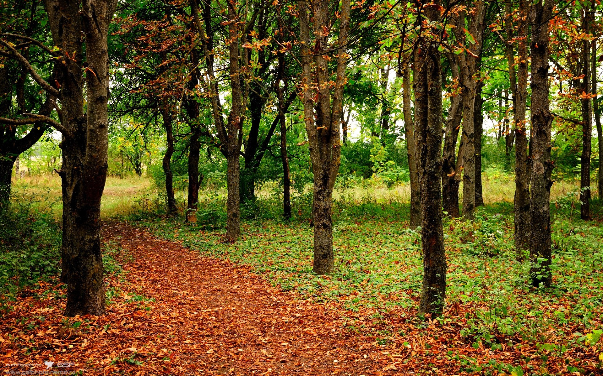 足球校园公益行动扩展至多个省份，足球公益活动策划方案