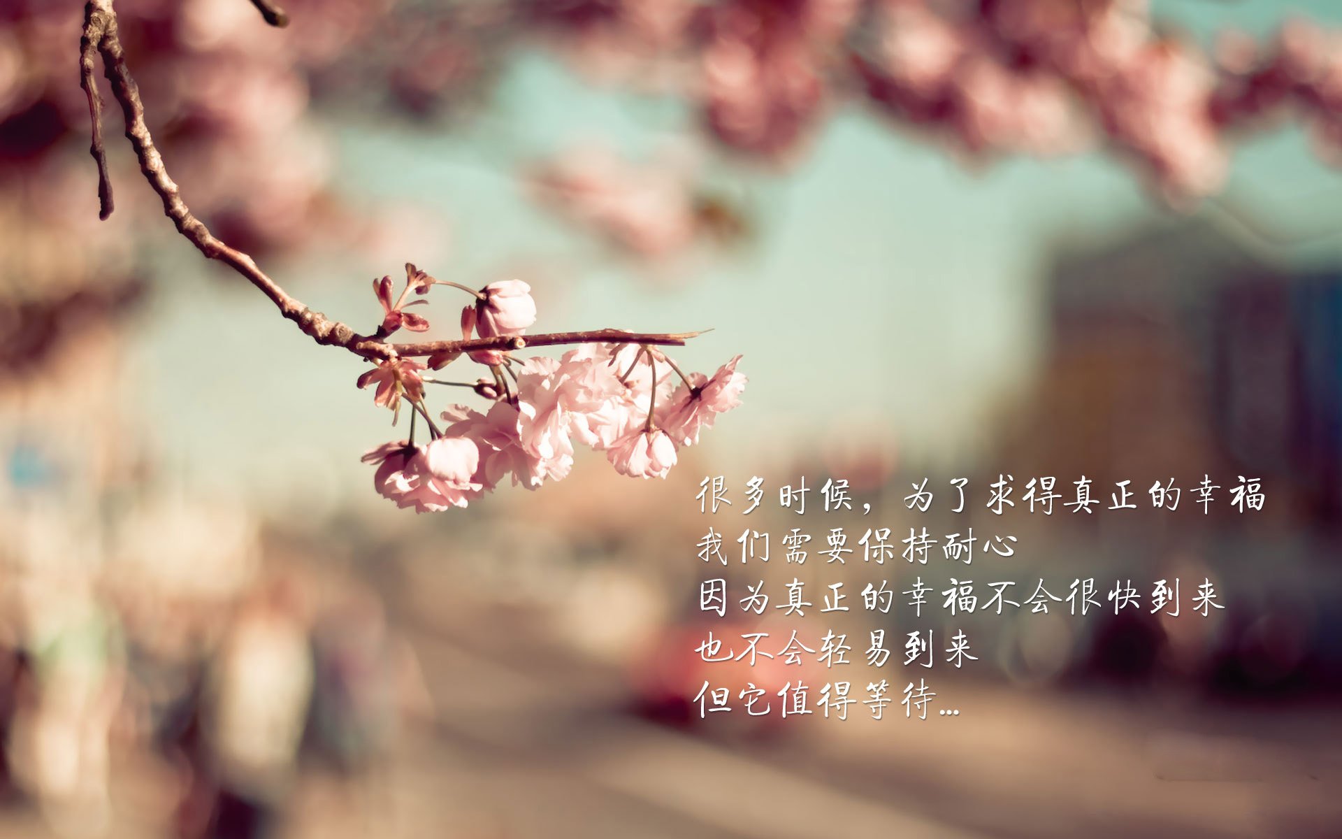 阿森纳青训持续发力，培养未来巨星